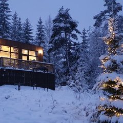 Коттеджный комплекс Черничный склон, Ленинградская область