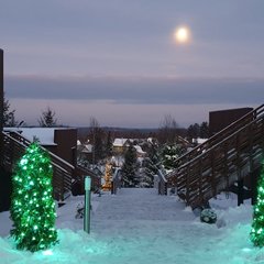 Коттеджный комплекс Черничный склон, Ленинградская область