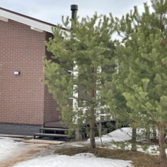 Частный дом  с камином и сауной у озера, Ленинградская область