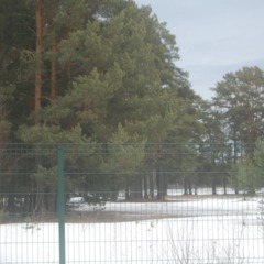 Частный дом  с камином и сауной у озера, Ленинградская область