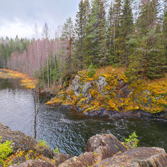 Гостевой дом Шуйская слобода                     , Республика Карелия
