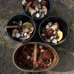 Гостиный двор Барнхаус, Пряжинский район, Республика Карелия