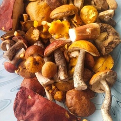 Гостиный двор Барнхаус, Пряжинский район, Республика Карелия