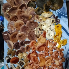 Гостиный двор Барнхаус, Пряжинский район, Республика Карелия