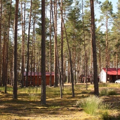 База отдыха Домик на озере, Гдовский район, Псковская область