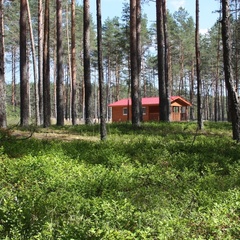 База отдыха Домик на озере, Гдовский район, Псковская область