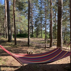 База отдыха Домик на озере, Гдовский район, Псковская область