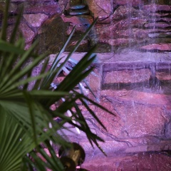 Гостевой дом Море хауз, Дербент, Республика Дагестан