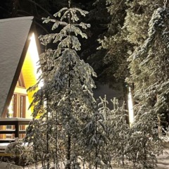 Глэмпинг Бард Вилладж, Республика Марий Эл