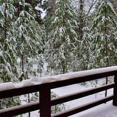 Глэмпинг Бард Вилладж, Республика Марий Эл