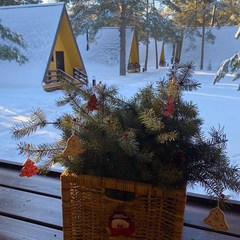 Глэмпинг Бард Вилладж, Республика Марий Эл