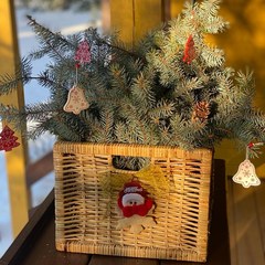 Глэмпинг Бард Вилладж, Республика Марий Эл