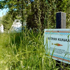 Глэмпинг у реки Hoki Camp, Калининский район, Тверская область