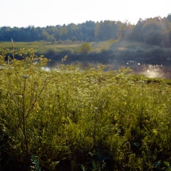 Глэмпинг у реки Hoki Camp, Калининский район, Тверская область