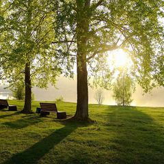 База отдыха Аура Тополей, Ревда, Свердловская область