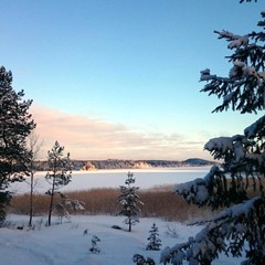 Коттедж Берег у леса, Сортавала, Республика Карелия