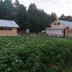 База отдыха У Иосифа, Онежский район, Архангельская область