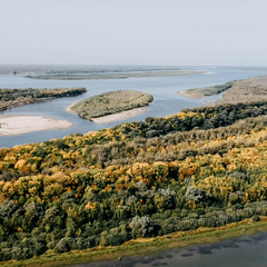 База отдыха Гостевой VIP дом на Волге, село Заволжское, Астраханская область