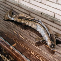 База отдыха Гостевой VIP дом на Волге, село Заволжское, Астраханская область