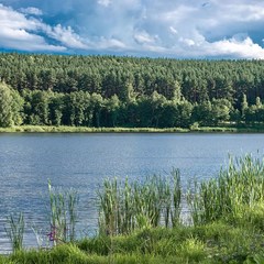 Отель Дворянская усадьба Мосоловых, Тульская область