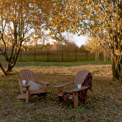 Мини-отель PETRA eco village, Московская область