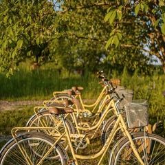 Мини-отель PETRA eco village, Московская область