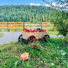 Глэмпинг BoraBora.Pavlovka, Республика Башкортостан