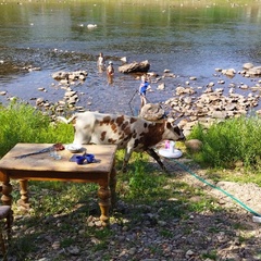 Глэмпинг тур У реки, Белорецкий район, Республика Башкортостан
