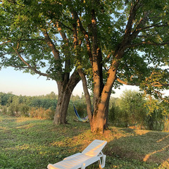 Деревенский гостевой комплекс Хутора на озере Алё, Бежаницкий район, Псковская область