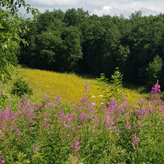 Деревенский гостевой комплекс Хутора на озере Алё, Бежаницкий район, Псковская область