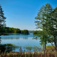 Деревенский гостевой комплекс Хутора на озере Алё, Бежаницкий район, Псковская область