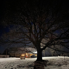 Деревенский гостевой комплекс Хутора на озере Алё, Бежаницкий район, Псковская область