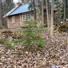Деревенский гостевой комплекс Хутора на озере Алё, Бежаницкий район, Псковская область