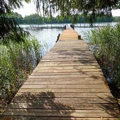 Деревенский гостевой комплекс Хутора на озере Алё, Бежаницкий район, Псковская область