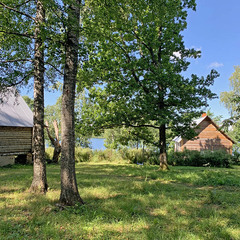 Деревенский гостевой комплекс Хутора на озере Алё, Бежаницкий район, Псковская область