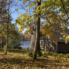 Деревенский гостевой комплекс Хутора на озере Алё, Бежаницкий район, Псковская область