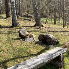 Деревенский гостевой комплекс Хутора на озере Алё, Бежаницкий район, Псковская область