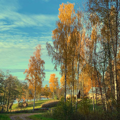 Деревенский гостевой комплекс Хутора на озере Алё, Бежаницкий район, Псковская область