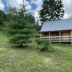 Деревенский гостевой комплекс Хутора на озере Алё, Бежаницкий район, Псковская область