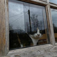 Деревенский гостевой комплекс Хутора на озере Алё, Бежаницкий район, Псковская область