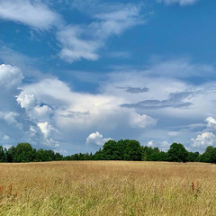 Деревенский гостевой комплекс Хутора на озере Алё, Бежаницкий район, Псковская область