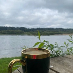 База отдыха Морошка Лайф, Заокский район, Тульская область