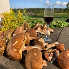 База отдыха Морошка Лайф, Заокский район, Тульская область