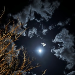 Дом отдыха Big House, Теберда, Республика Карачаево-Черкесия 