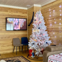 Коттедж Цитрус, Поселок Листвянка, Иркутская область