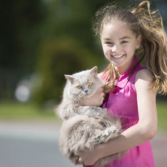 Спа-отель Карелия, Петрозаводск, Республика Карелия