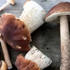 Гостевой дом Окулова Заимка, Истра, Московская область