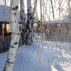 Гостевой дом Окулова Заимка, Истра, Московская область