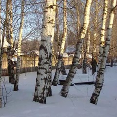 Гостевой дом Окулова Заимка, Истра, Московская область