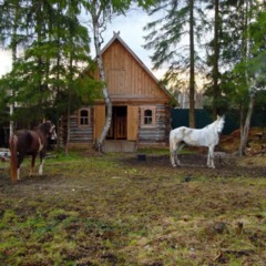 Гостевой дом Окулова Заимка, Истра, Московская область
